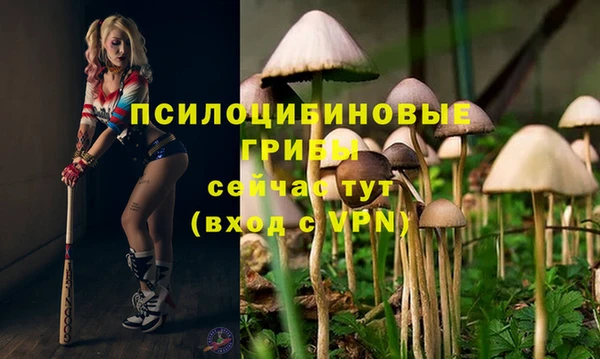 соль курить ск Аркадак