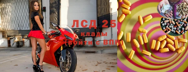 стафф Алзамай